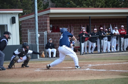 Lion's Fall in Extra Innings to Eastern Mennonite