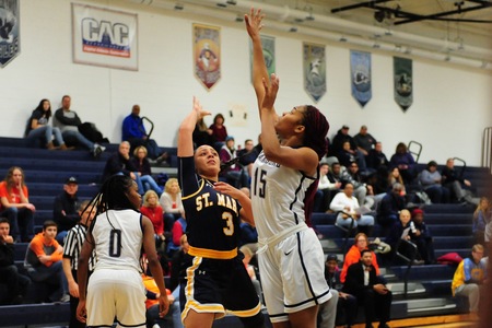 Women's Basketball: Wesley Game Notes